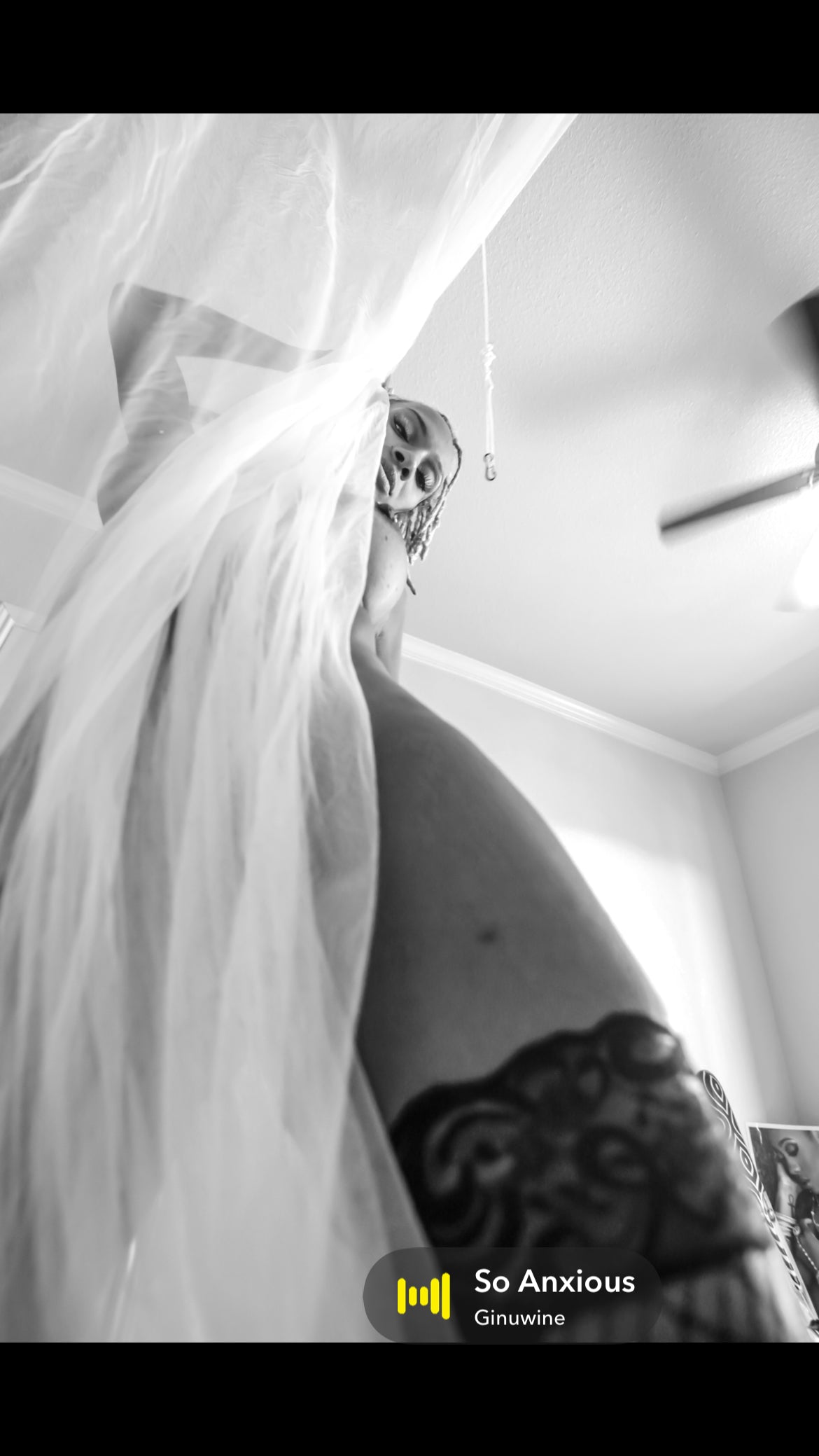 Lioness Love Pride of Pleasure