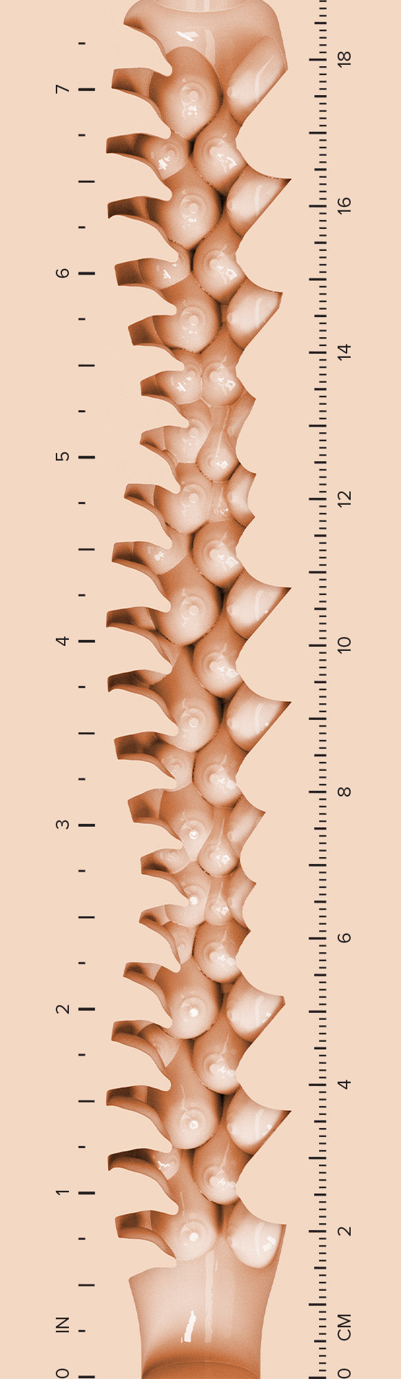 vertical_texture_image